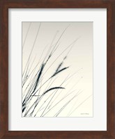 Field Grasses I Fine Art Print