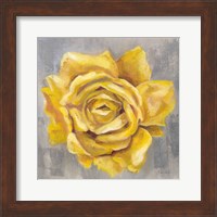 Yellow Roses II Fine Art Print