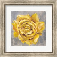 Yellow Roses II Fine Art Print