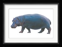 Wild and Free IV Fine Art Print