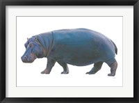 Wild and Free IV Framed Print