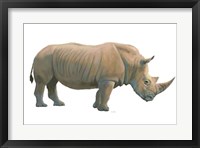 Wild and Free III Framed Print