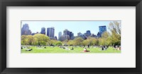 Central Park Picnic Fine Art Print