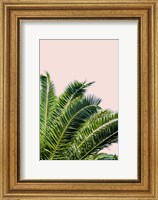 Tropical Leaves On Blush I Fine Art Print