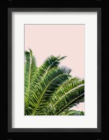 Tropical Leaves On Blush I Fine Art Print