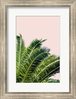 Tropical Leaves On Blush I Fine Art Print