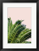 Tropical Leaves On Blush I Fine Art Print