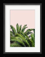 Tropical Leaves on Blush II Fine Art Print
