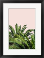 Tropical Leaves on Blush II Fine Art Print