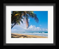 Under the Palms Fine Art Print