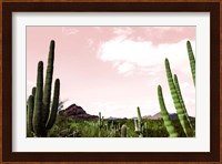 Cactus Landscape Under Pink Sky Fine Art Print