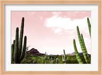 Cactus Landscape Under Pink Sky Fine Art Print