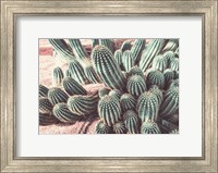 Cactus Muted Burst Fine Art Print