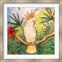 Tropical Bird I Fine Art Print