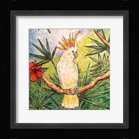 Tropical Bird I Framed Print