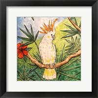 Tropical Bird I Fine Art Print