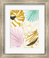 Seashell Collage Fine Art Print