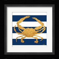 Sea Creatures on Stripes V Framed Print