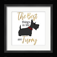 Puppy Positive IV Framed Print