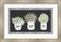 Potted Farm Arrangement Trio on Chalkboard Fine Art Print