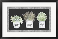 Potted Farm Arrangement Trio on Chalkboard Fine Art Print