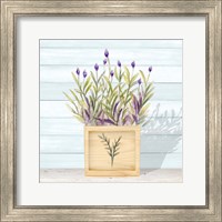 Lavender and Wood Square II Fine Art Print