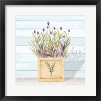Lavender and Wood Square II Framed Print
