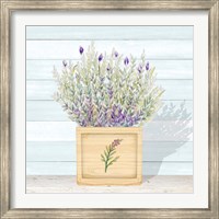 Lavender and Wood Square III Fine Art Print
