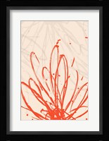 Mandarin Burst II Framed Print