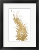 Gold Feather II Fine Art Print