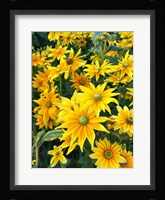 Bright Spring Fine Art Print