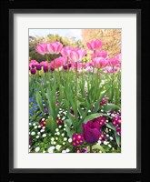 Spring Garden Fine Art Print