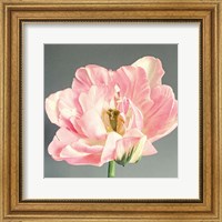 Pink Bloom Fine Art Print