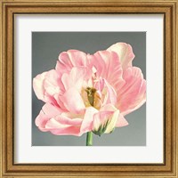 Pink Bloom Fine Art Print