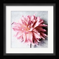 Freshly Picked from the Garden Fine Art Print