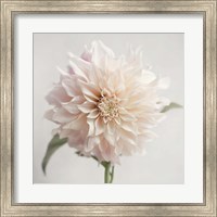 White Bloom From The Garden Fine Art Print
