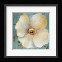 Late Summer Poppies Framed Print