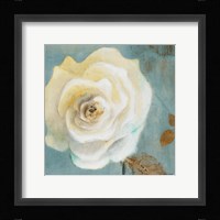 Late Summer Roses Framed Print