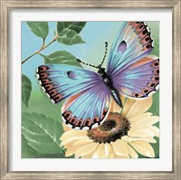 Butterfly Flowers II Fine Art Print