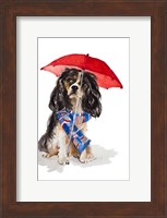 King Charles Spaniel In The Rain Fine Art Print