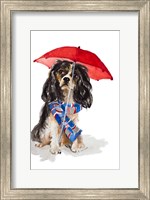 King Charles Spaniel In The Rain Fine Art Print