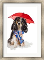 King Charles Spaniel In The Rain Fine Art Print