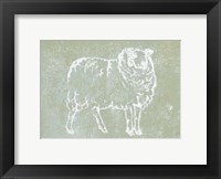 Country Sheep Fine Art Print
