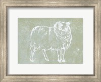 Country Sheep Fine Art Print