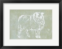 Country Sheep Framed Print