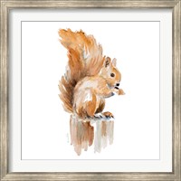Watercolor Squirrel Fine Art Print