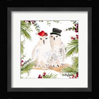 Holiday Owls Framed Print