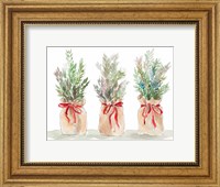 Spruce Wrapped in Burlap Fine Art Print