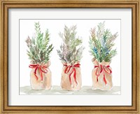 Spruce Wrapped in Burlap Fine Art Print