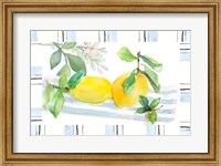 Spring Citron Fine Art Print